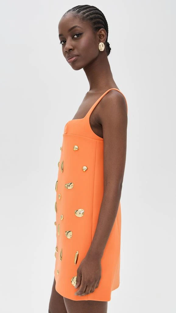 Alexis Larsen Dress 3