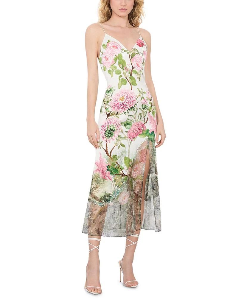 Alice + Olivia Julietta Cutaway Lace Trim Dress 4
