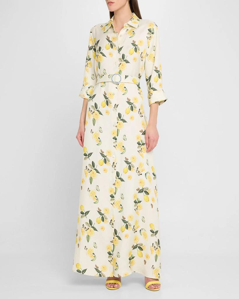 Evi Grintela Valerie Belted Lemon-Print Maxi Shirtdress 2