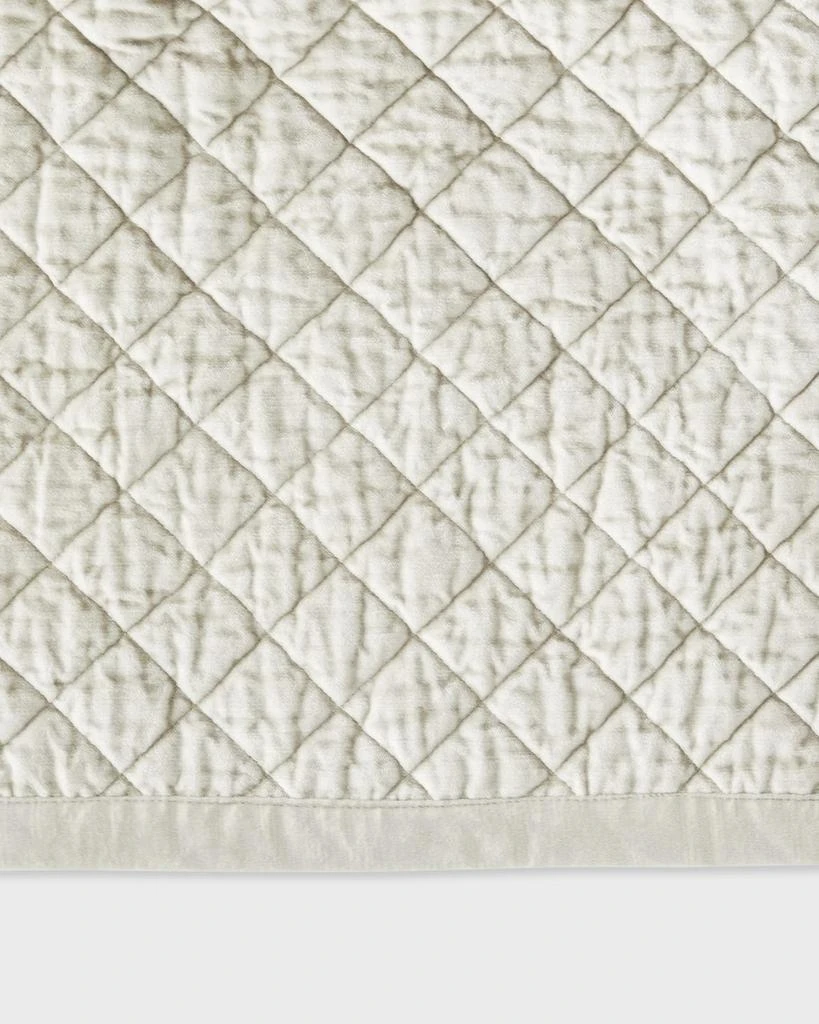 Amity Home Simona Velvet Euro Sham 2