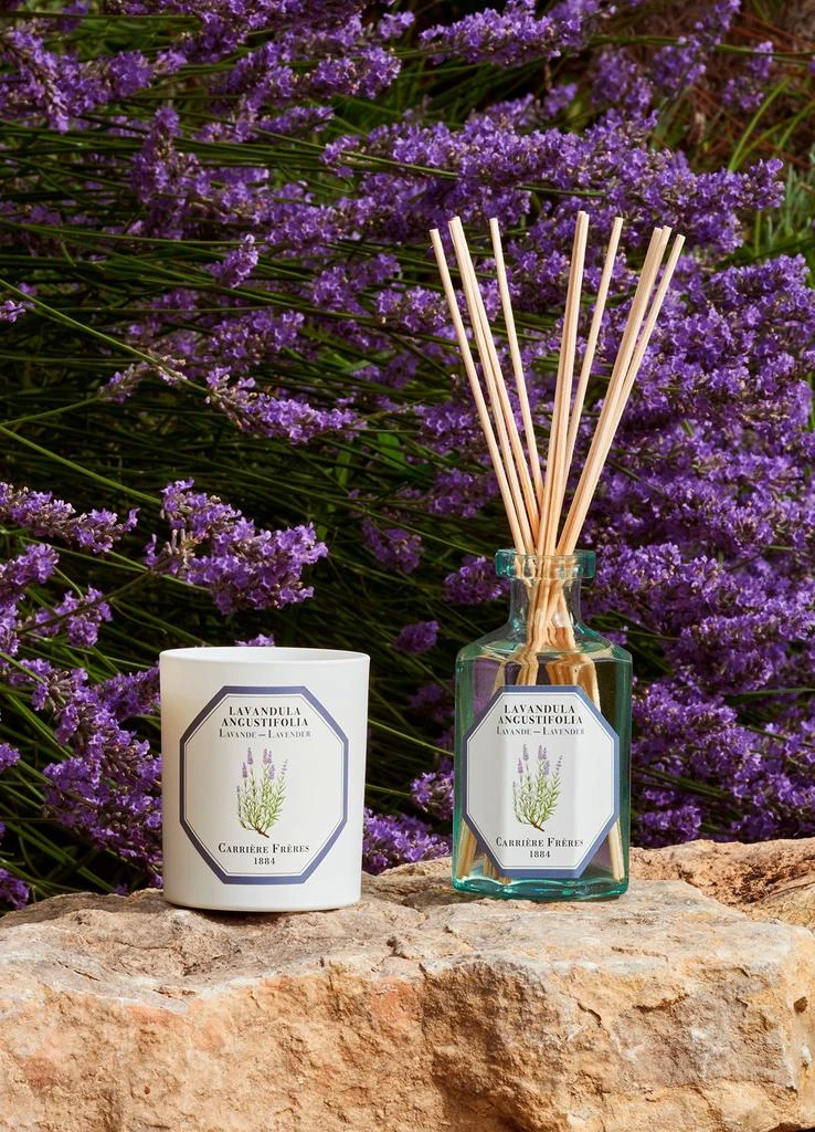 Carriere Freres Fragrance diffuser Lavender - Lavandula Angustifolia 200 ml 4