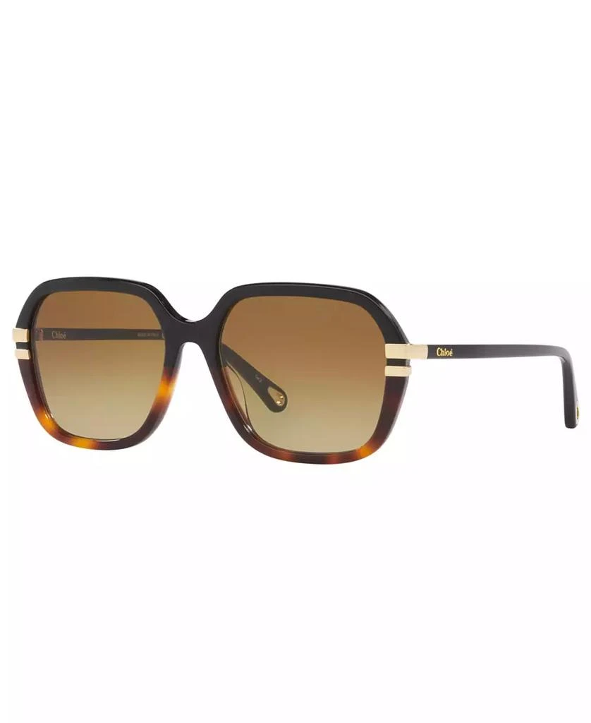 Chloé Women's Sunglasses, CH0204S 1