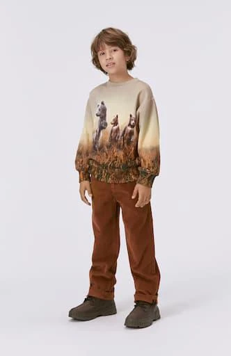 MOLO Mattis printed cotton sweatshirt 5