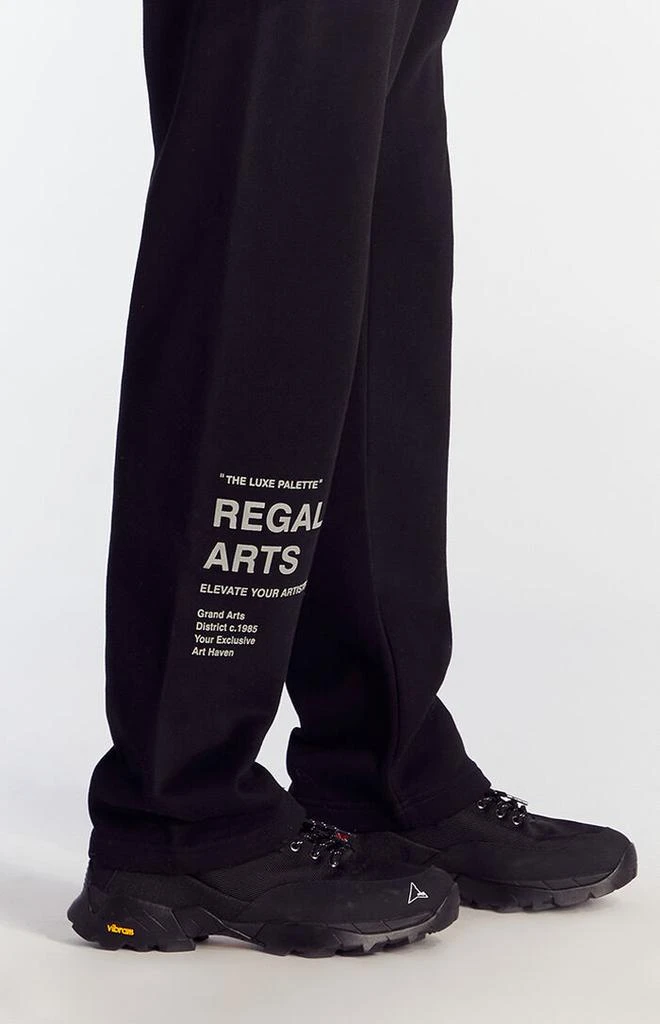 PacSun Regal Arts Baggy Sweatpants 4