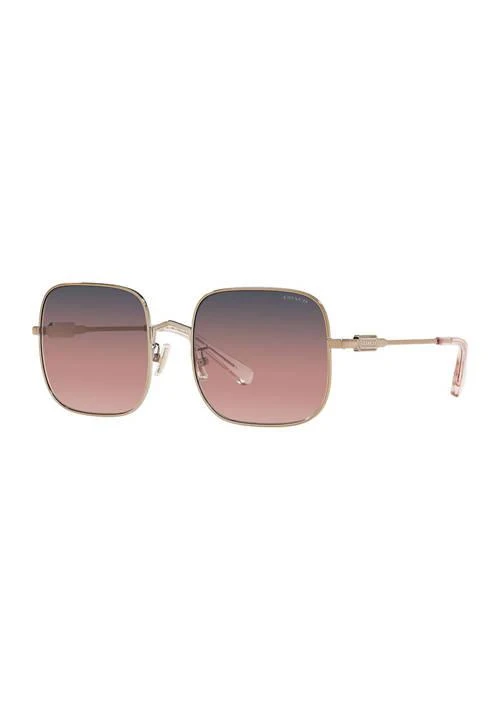 Coach Hc7120 L1169 Sunglasses 1
