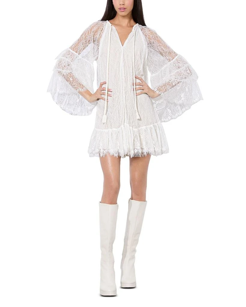 Alice + Olivia Delia Ruffle Angel Sleeve Dress 2