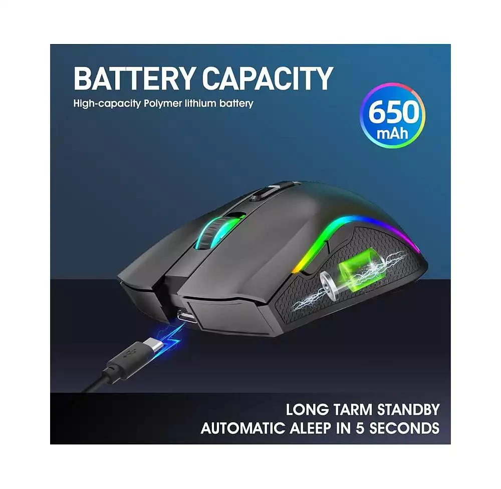 risokeys RGB Wireless Gaming Mouse - 6-Speed DPI (Up to 4800), 650mAh Rechargeable, Ergonomic for Gaming/Office, Easy-to-Use for Gamers/Professionals 3