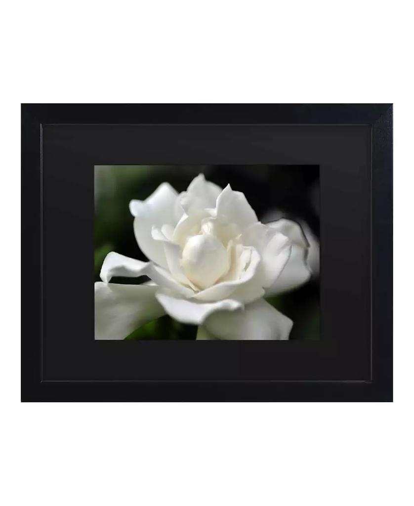 Trademark Global Kurt Shaffer Lovely Gardenia Matted Framed Art - 15" x 20"