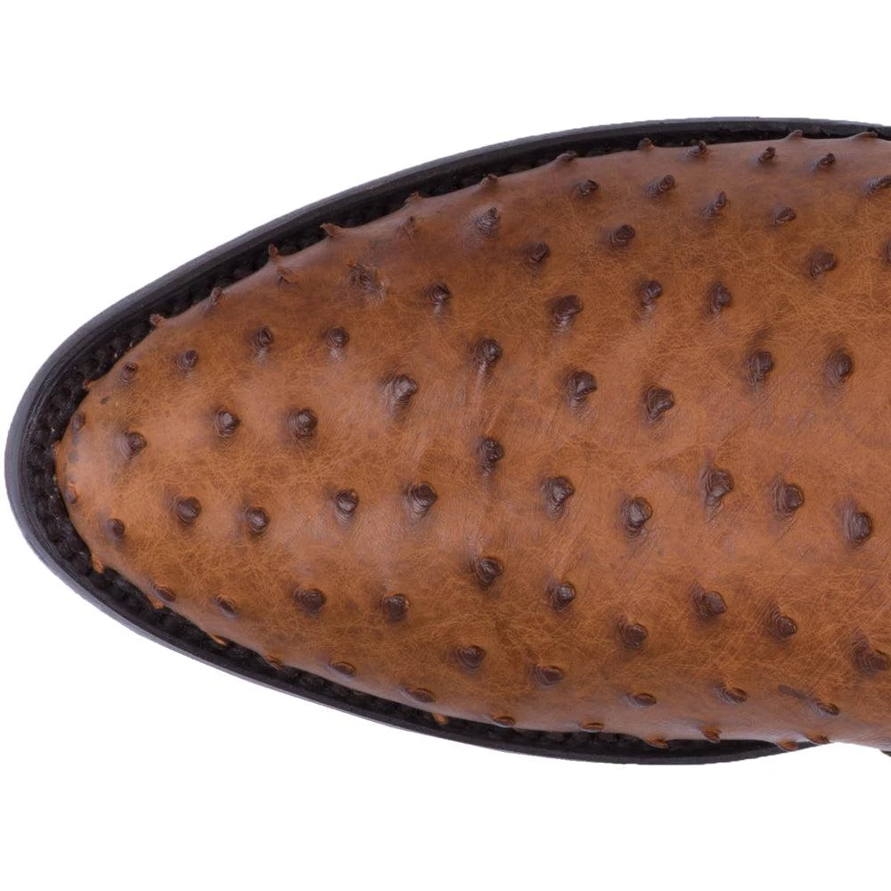Dan Post Boots Tempe Ostrich Embroidered Round Toe Pull On Cowboy Boots 4