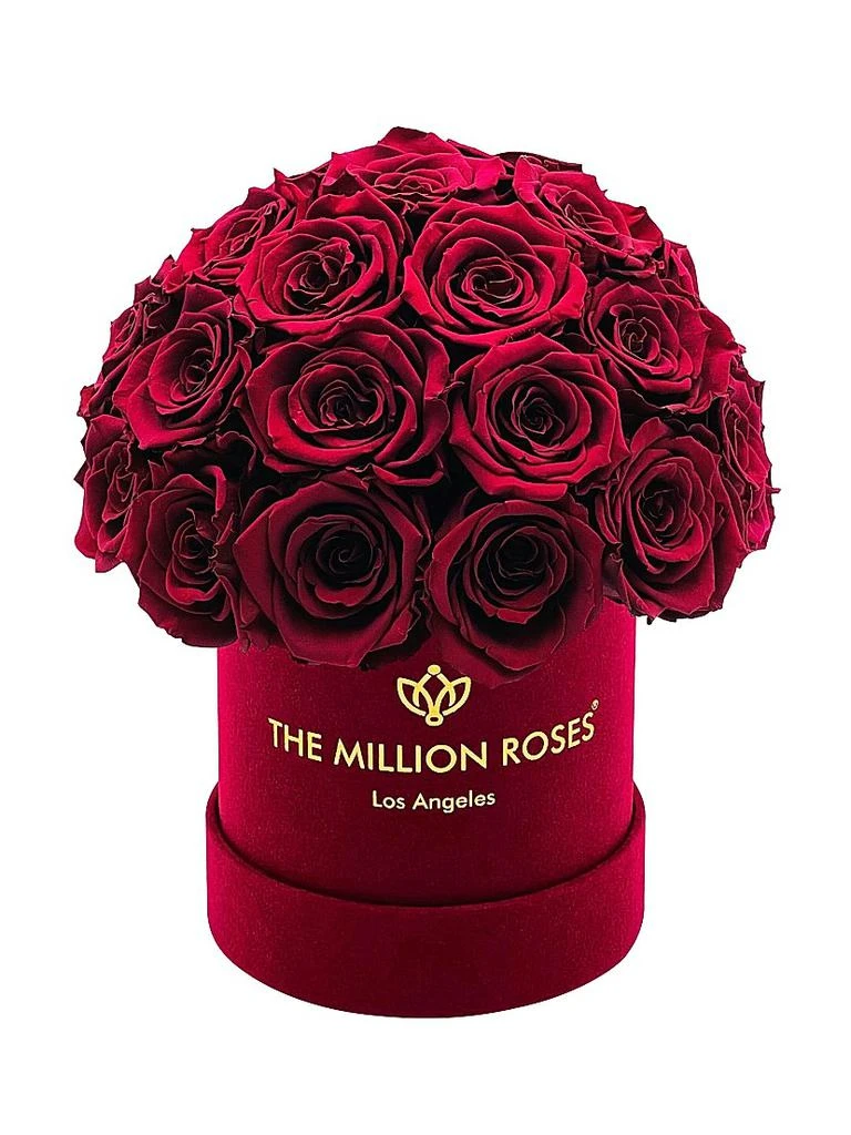 The Million Roses Basic Suede Superdome Box of Roses