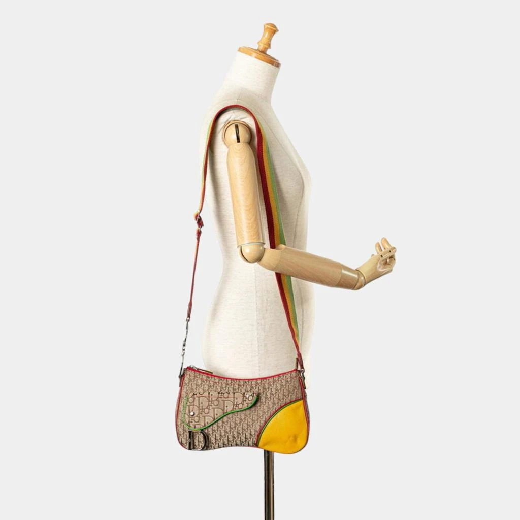 Dior Christian Dior Beige Yellow Canvas Leather Dior Trotter Saddle Rasta Shoulder Bag 2