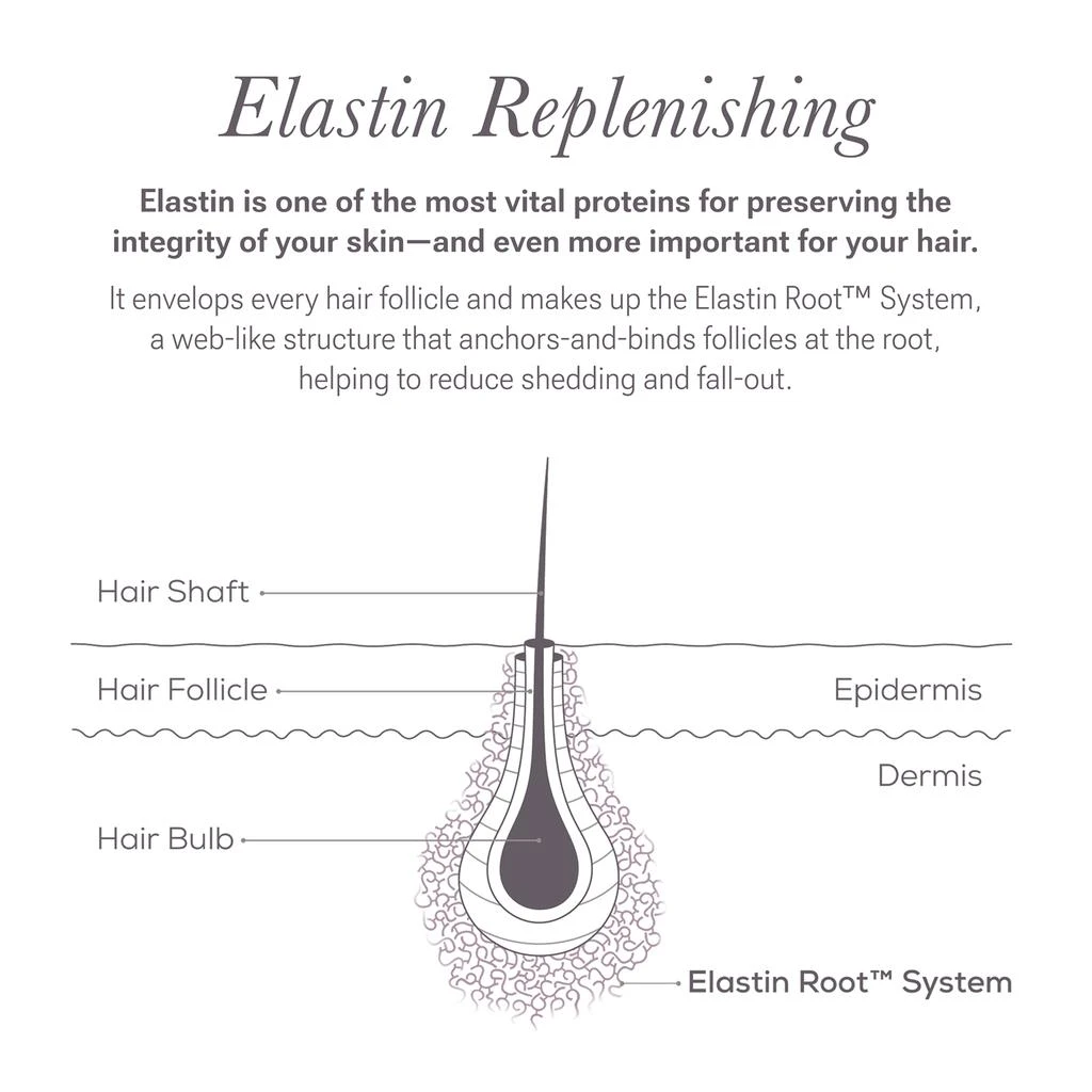 Nulastin Nulastin BROW Shape Altering Serum 0.1 fl oz 8