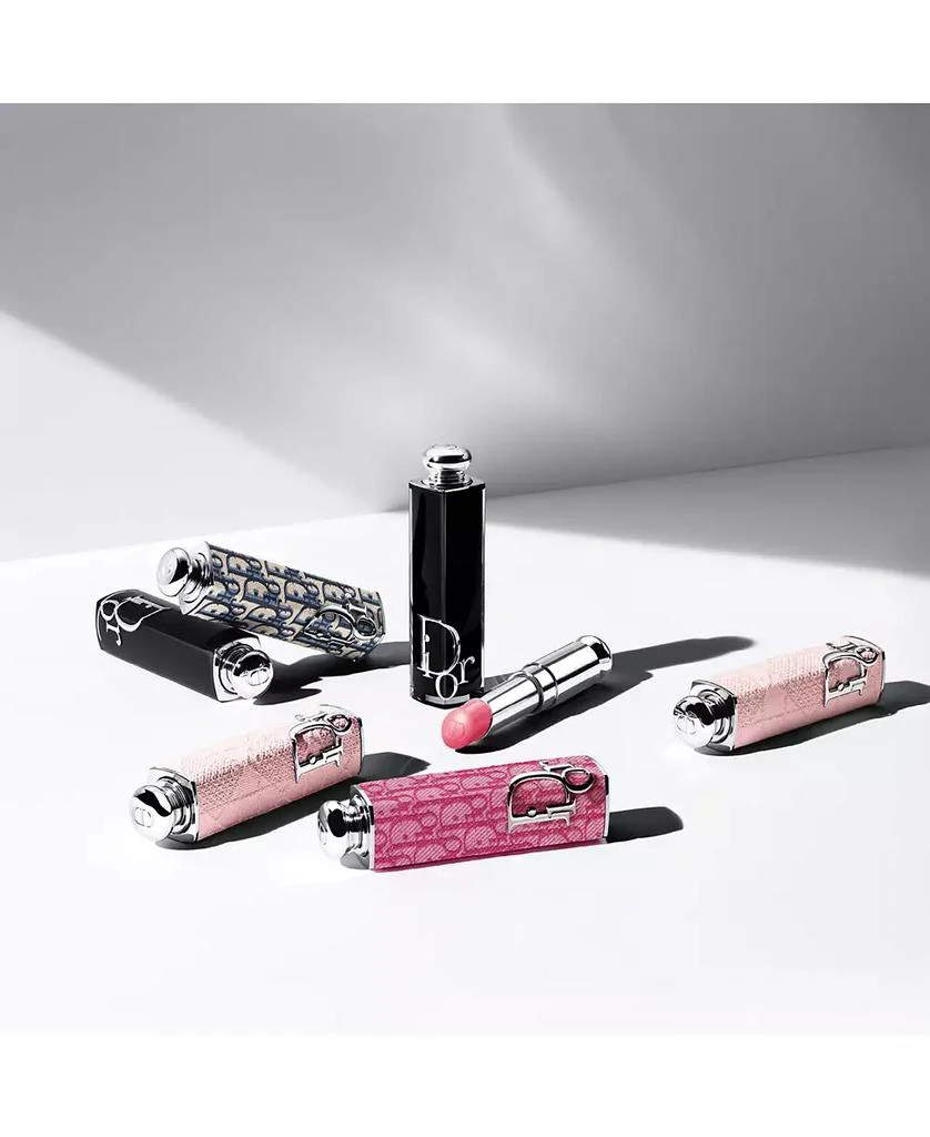 Dior Addict Refillable Couture Lipstick Case 4