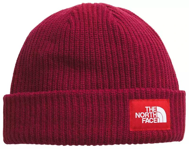 The North Face The North Face Salty Lined Beanie 1