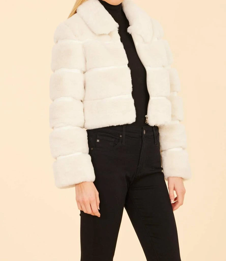 DOLCE CABO Dolce Cabo - Paneled Faux Fur Vegan Leather Cropped Jacket