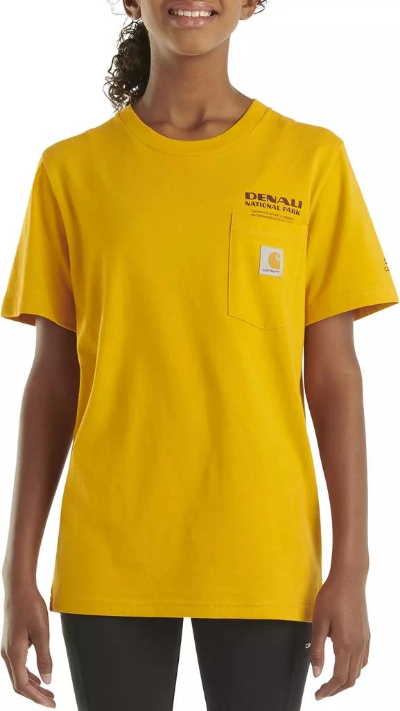 Carhartt Carhartt Boys' Denali National Park T-Shirt 3
