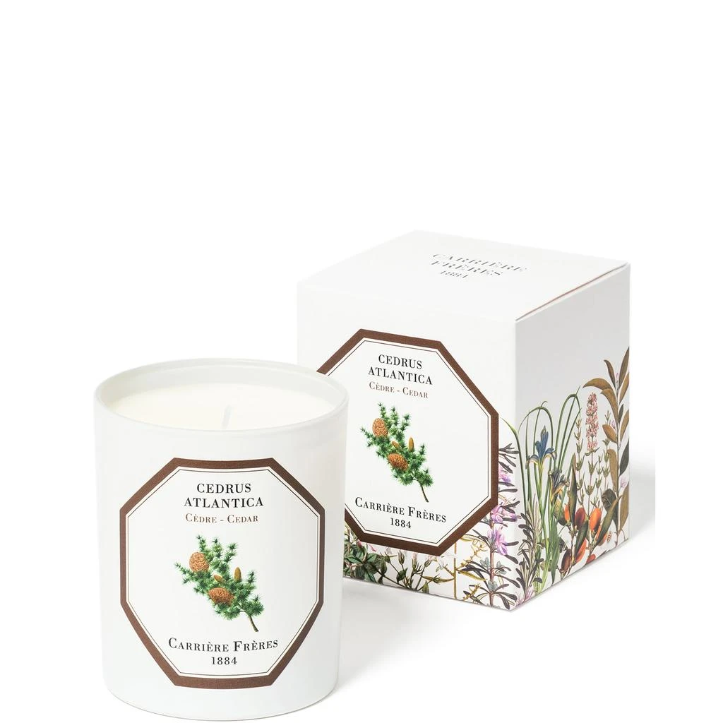 Carriere Freres Carrière Frères Scented Candle Cedar - Cedrus Atlantica - 6.5 oz 2
