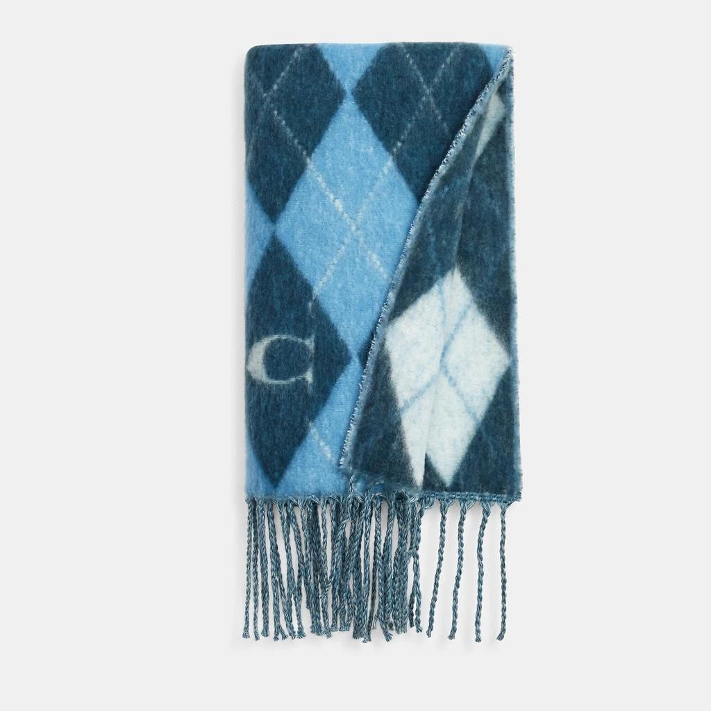 Coach Argyle Print Oversized Muffler 3