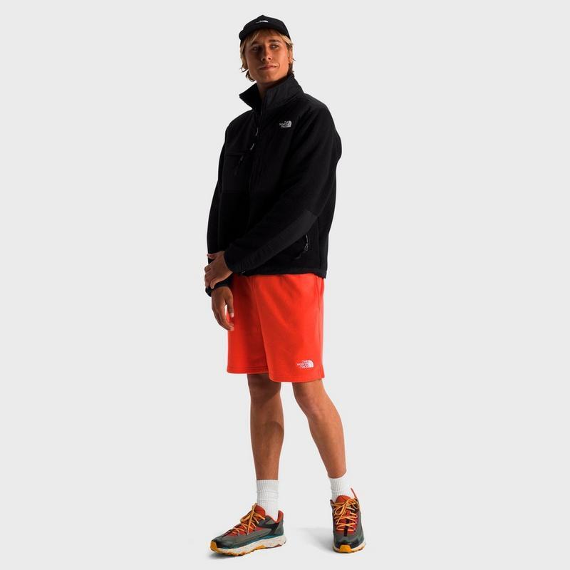 The North Face Men's The North Face Retro Denali Fleece Jacket