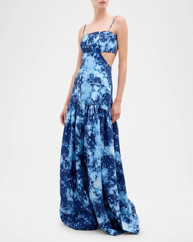 Silvia Tcherassi Shannon Tie-Dye Drop-Waist Backless Maxi Dress 2