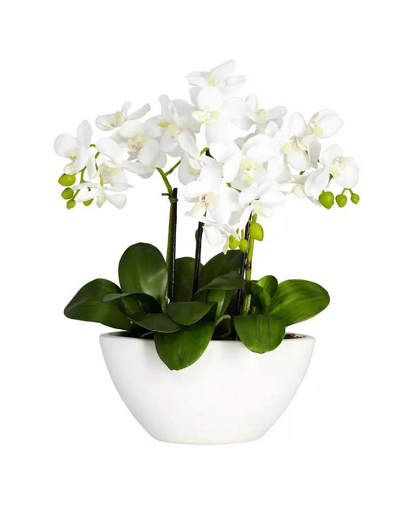 NEARLY NATURAL Phalaenopsis Flower Arrangement 1