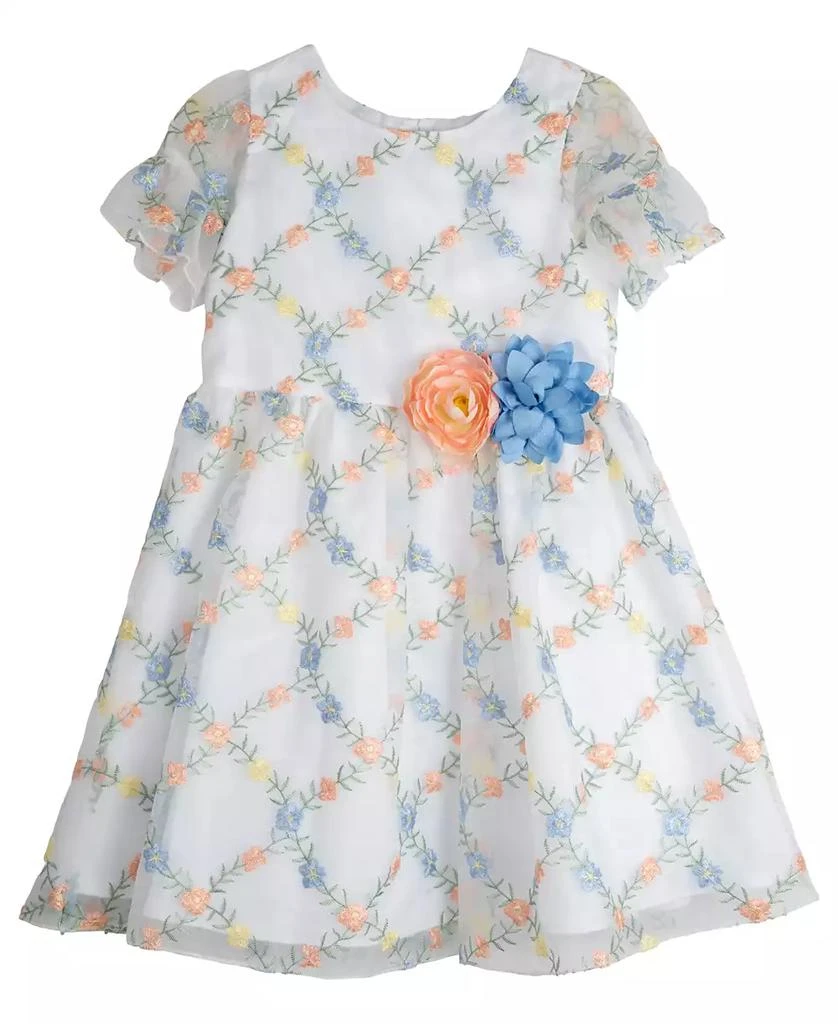 Rare Editions Toddler Girls 3D Floral Embroidered Social Dress 4