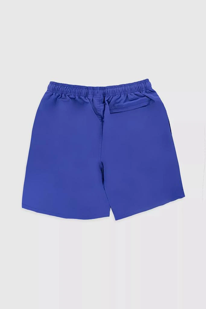 STUSSY Stussy Big Basic Water Short 2