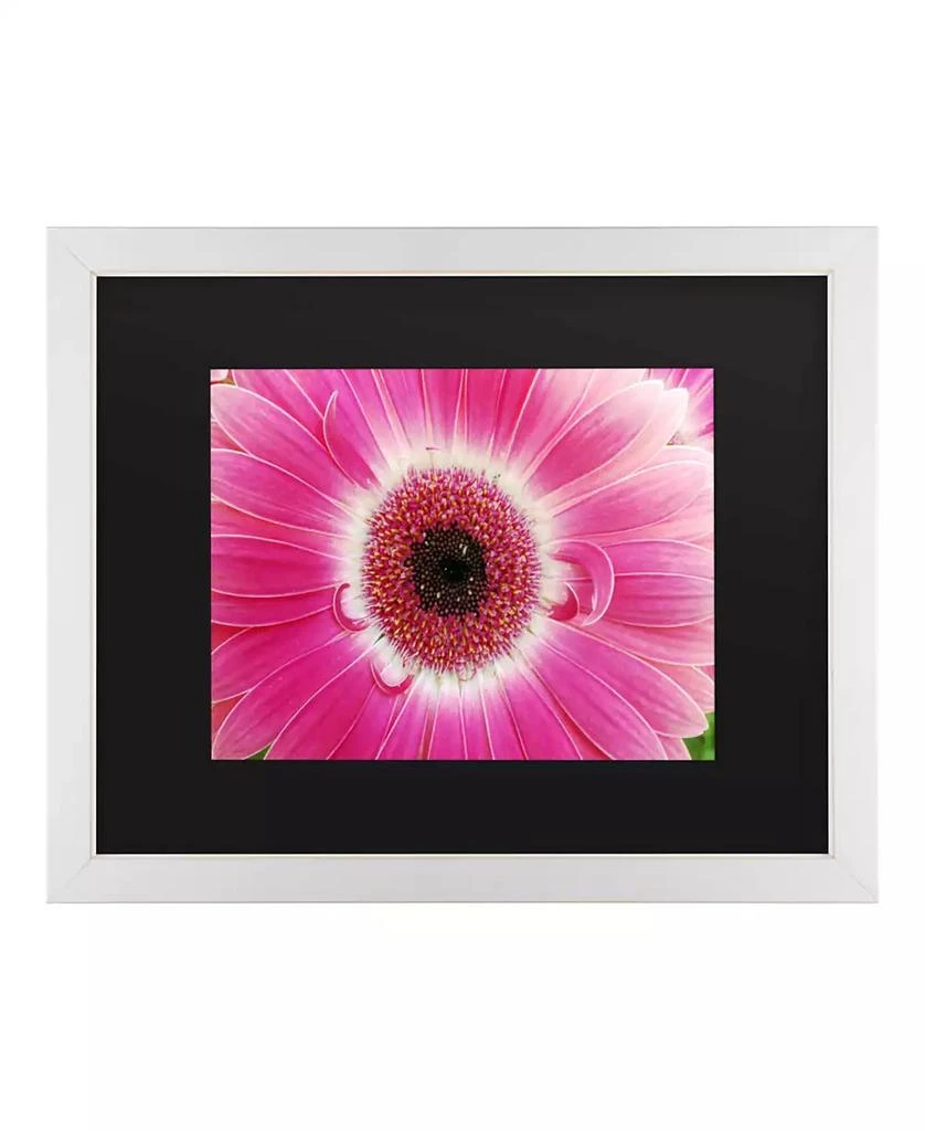 Trademark Global Kurt Shaffer Pink Gerber Matted Framed Art - 20" x 25" 1