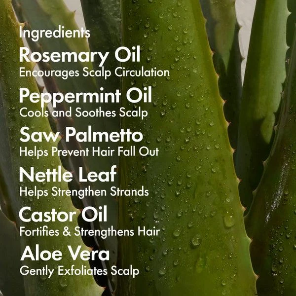 BondiBoost BondiBoost Elixir Hair Oil 125ml 4