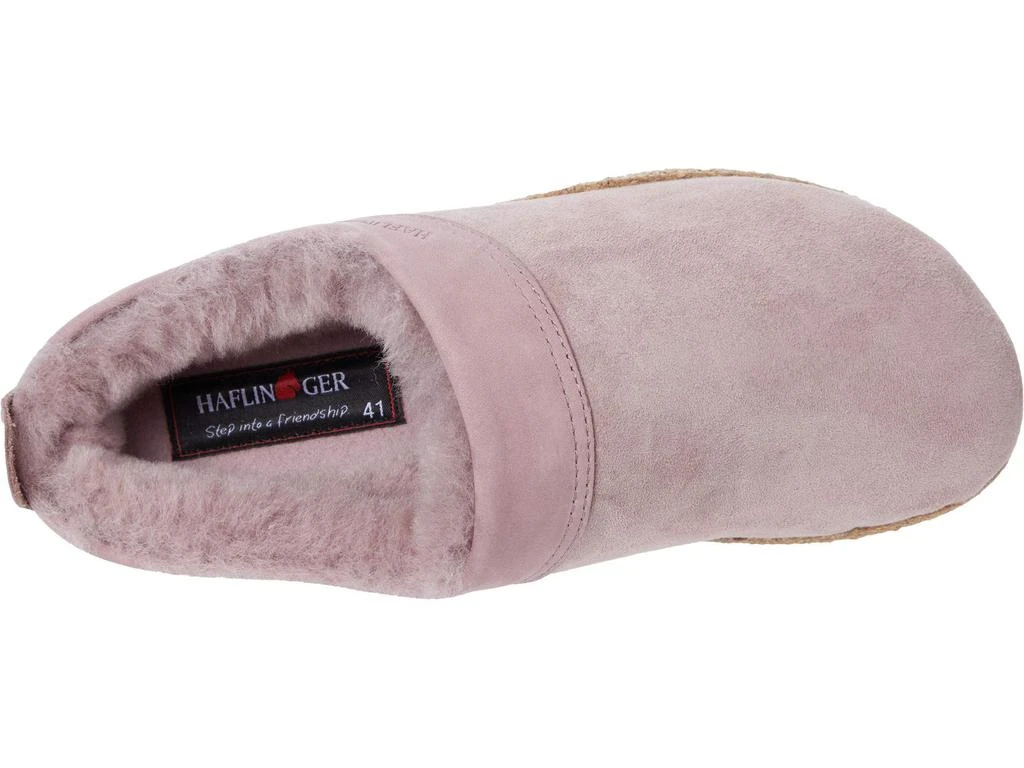 Haflinger Snowbird 2