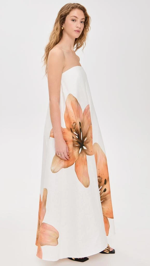 Significant Other Parisa Maxi Dress 3
