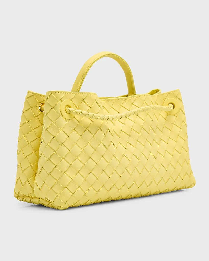 Bottega Veneta Small East-West Andiamo Bag 7