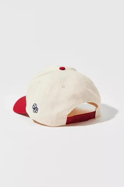 Dairy Boy Dairy Boy Americana Snapback Baseball Hat 2