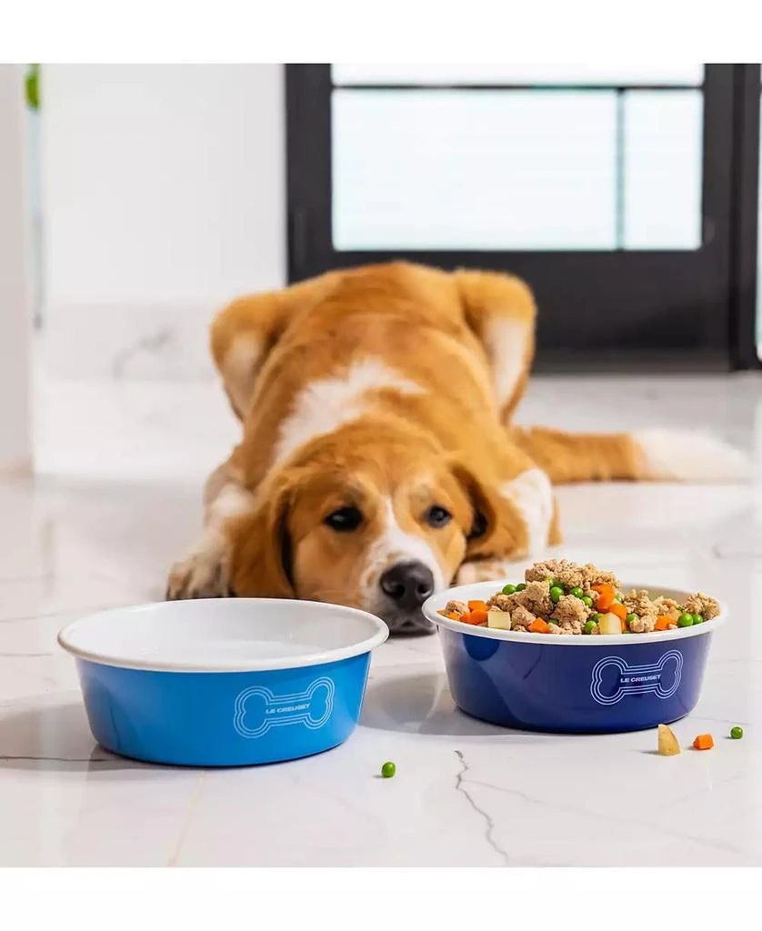 Le Creuset 6 Cup Enamel on Steel Pet Bowl with Skid Resistant Base 7