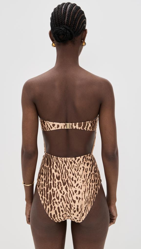 Zimmermann Cascadian Balconette One Piece