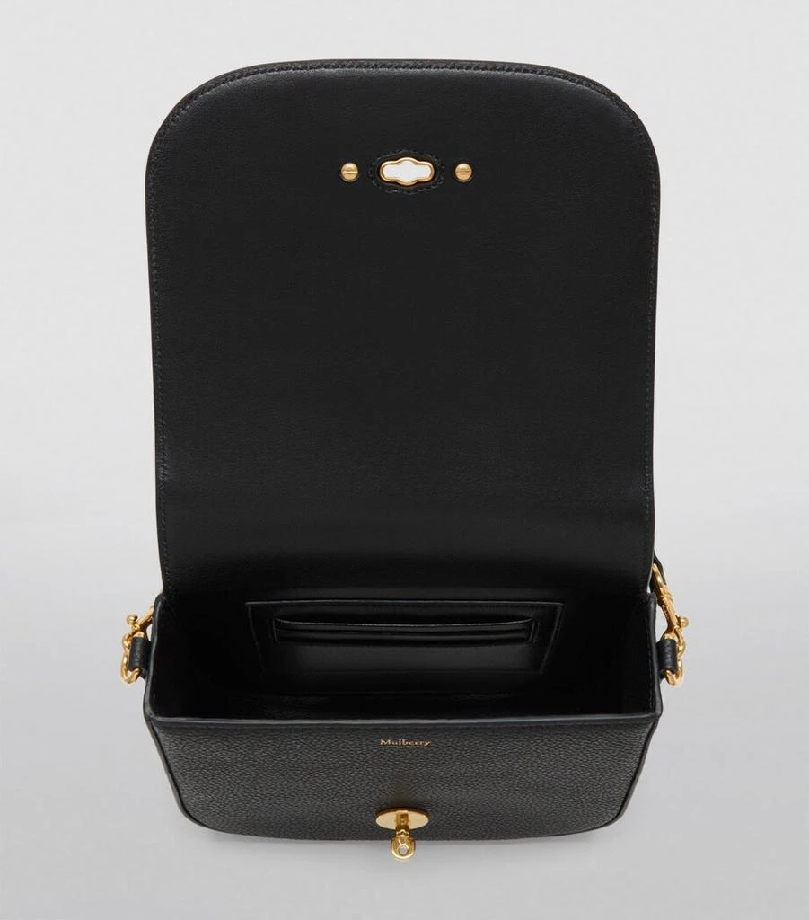 Mulberry Small Darley Cross-Body Bag 5