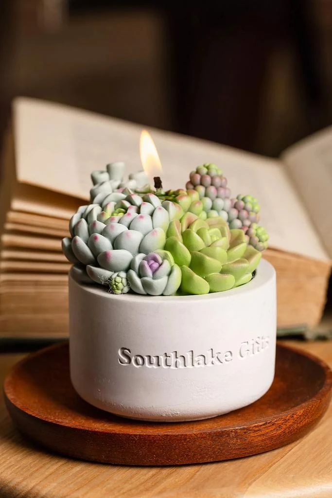 Southlake Gifts Southlake Gifts Assorted Succulent Candle