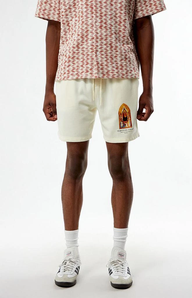 PacSun Madonna Fleece Sweat Shorts 2