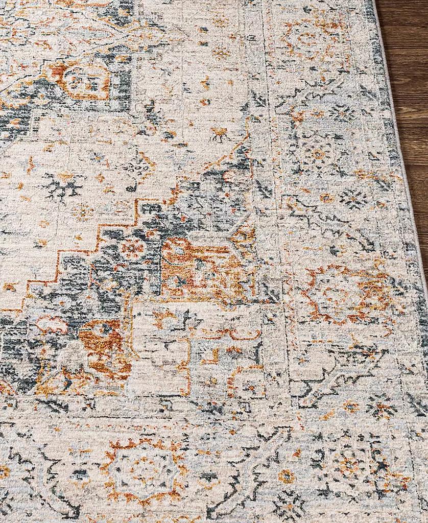 Surya Laila LAA-2312 7'10x10'3 Area Rug