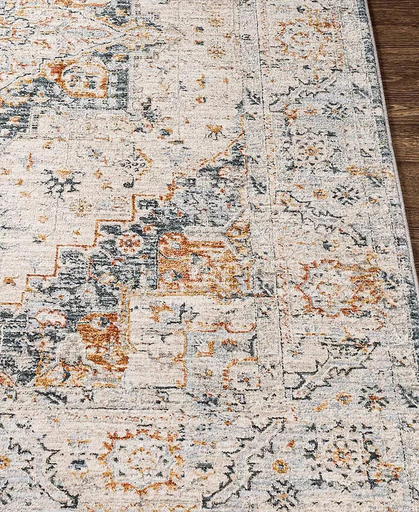 Surya Laila LAA-2312 7'10x10'3 Area Rug 2