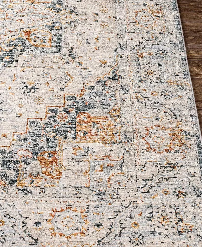 Surya Laila LAA-2312 7'10x10'3 Area Rug 2