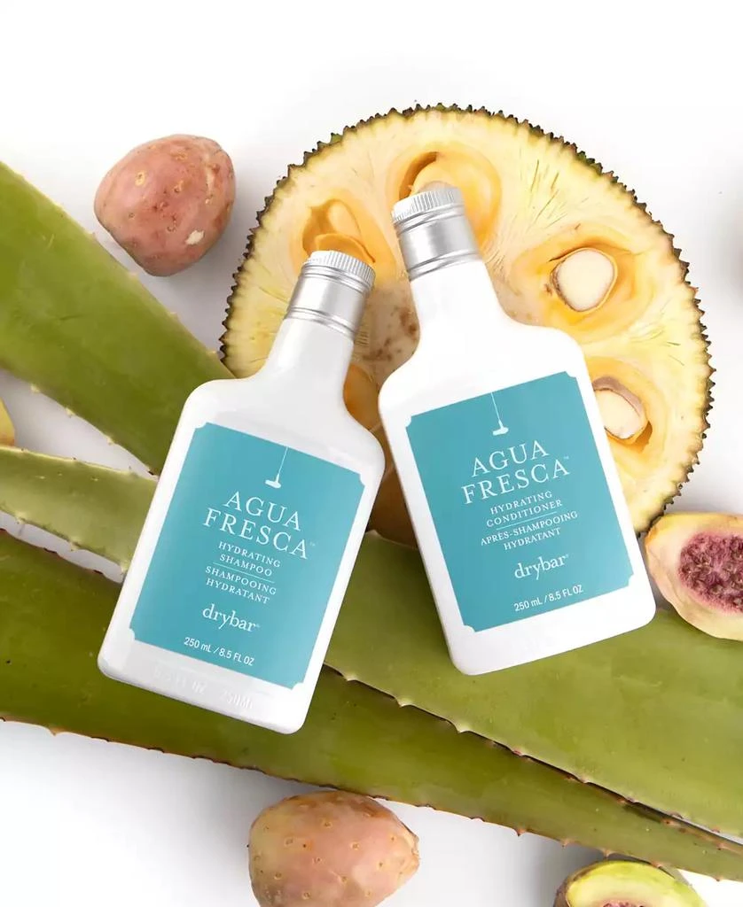 Drybar Agua Fresca Hydrating Shampoo 5