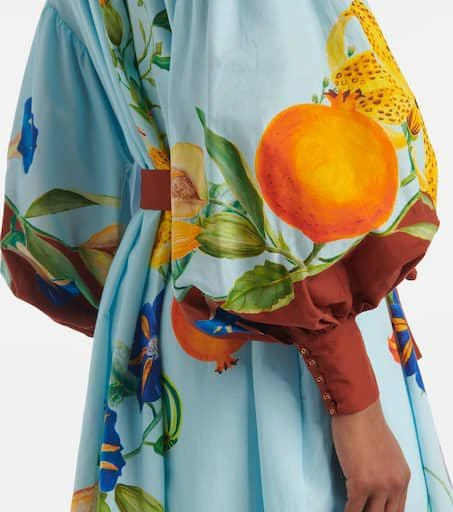 ALÉMAIS Dahlia cotton and silk shirt dress 5