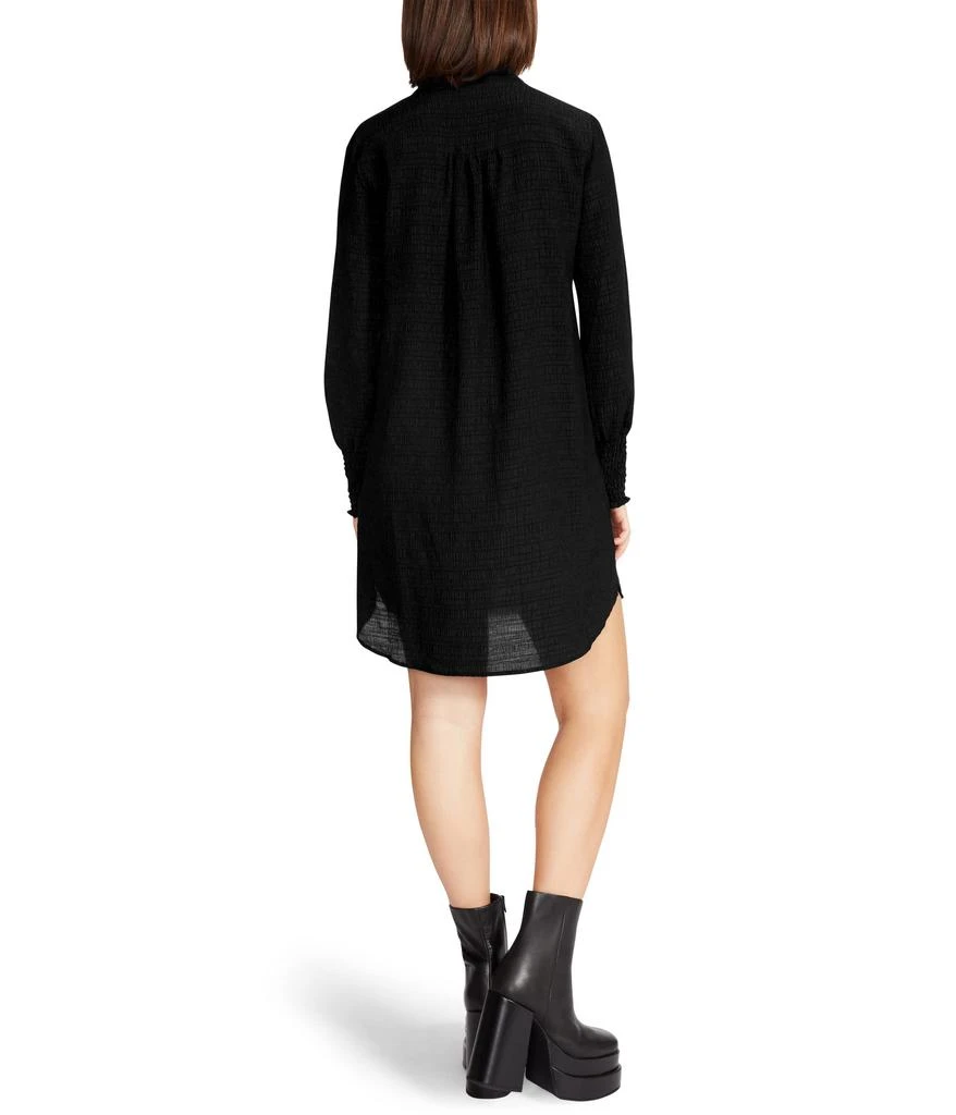 Steve Madden Emma Dress 2