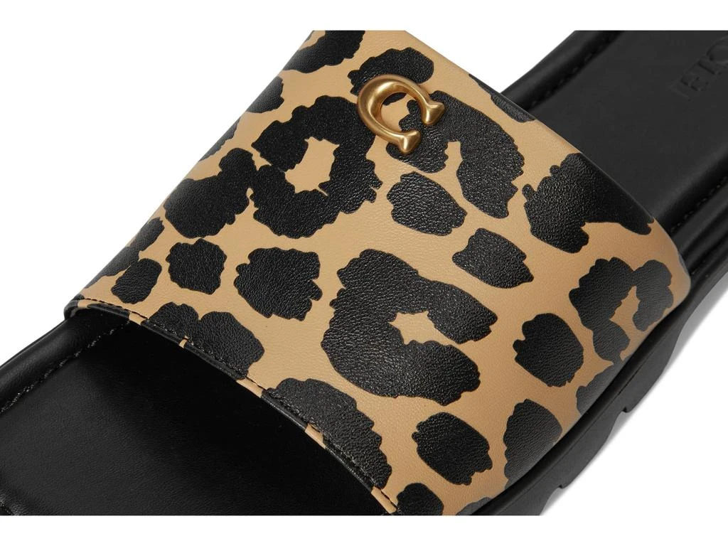 Coach Florence Sandal with Leopard Print 6