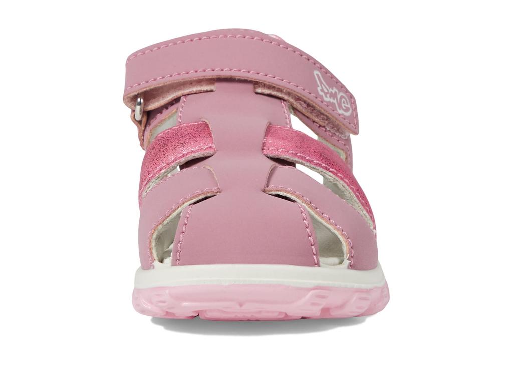 Primigi Kids 38940 (Toddler/Little Kid)
