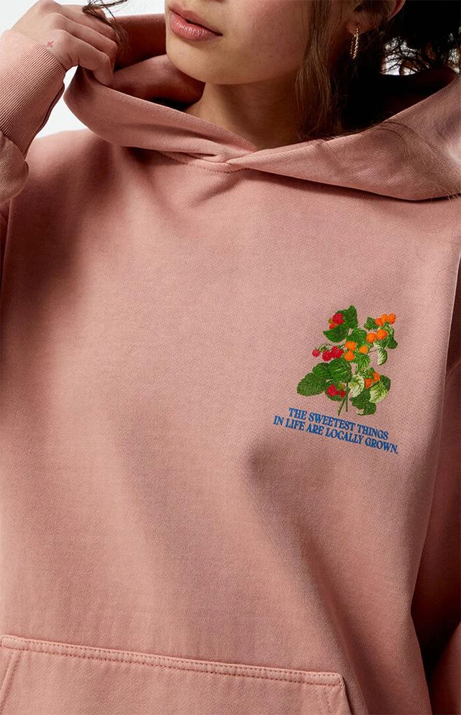 PS / LA Fruit Stand Hoodie 4