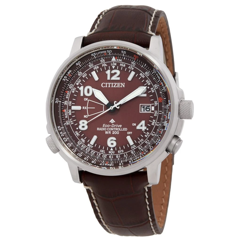 Citizen Citizen Promaster Sky Perpetual World Time Brown Dial Men's Watch CB0248-01X 1