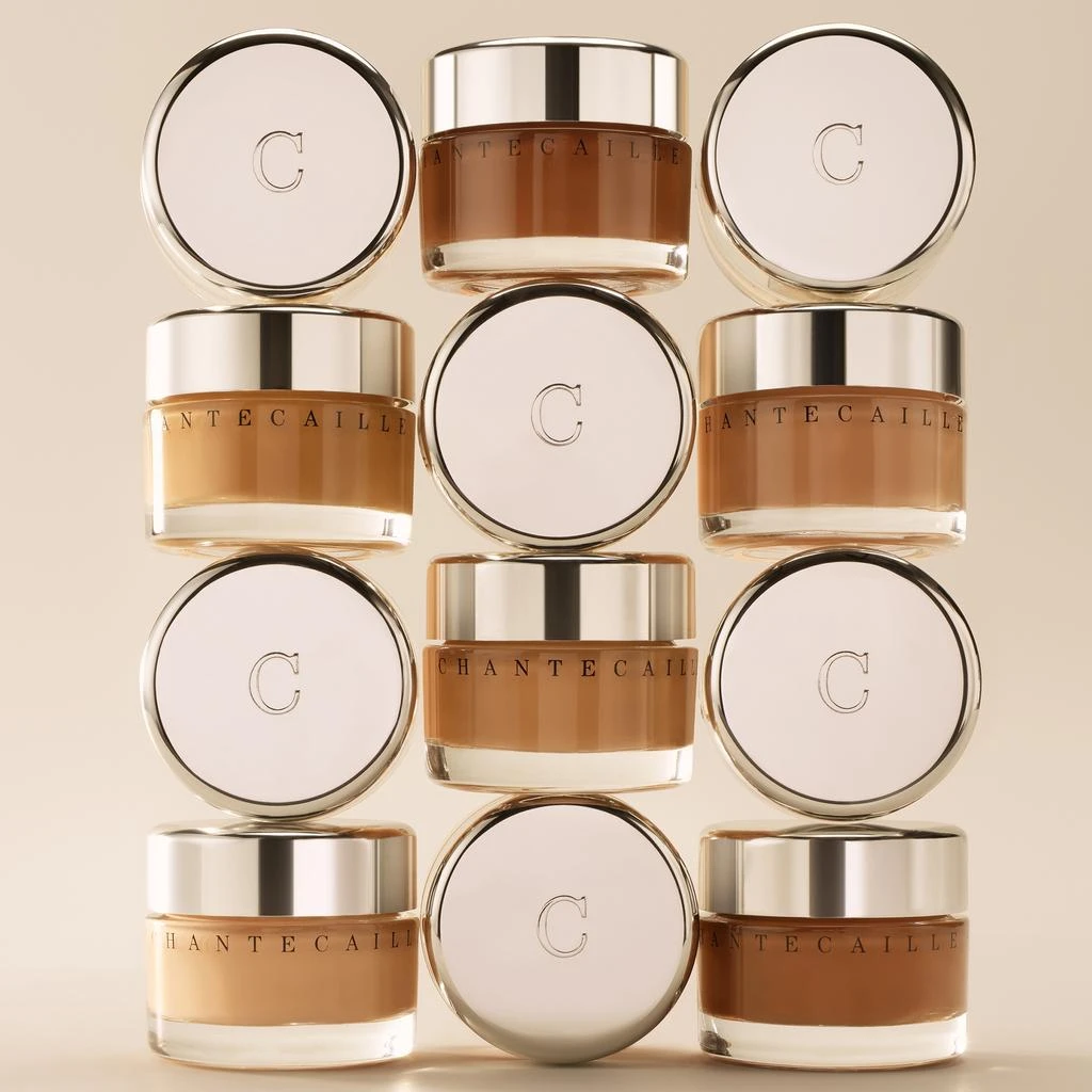 Chantecaille Chantecaille Future Skin Oil-Free Foundation 1 oz. 4