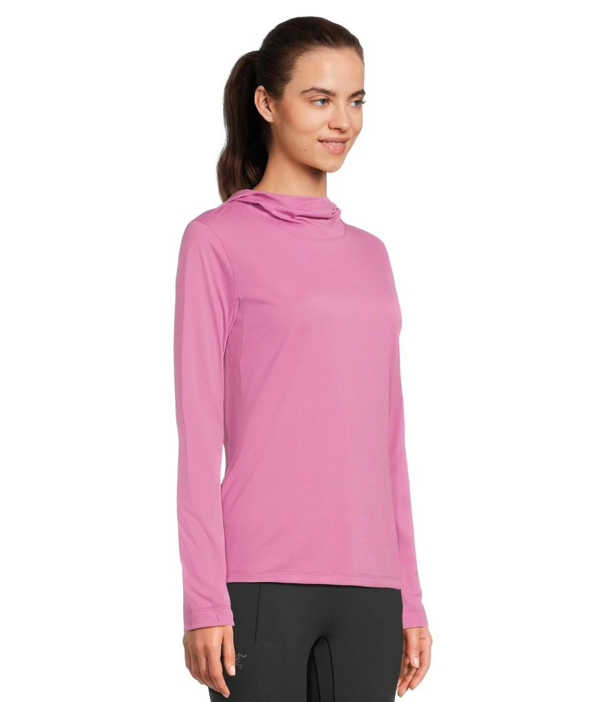 Arc'teryx Taema Hoodie 2